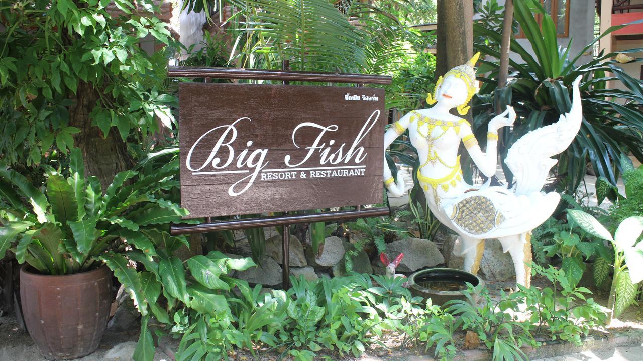 Big Fish Resort Κο Τάο Εξωτερικό φωτογραφία